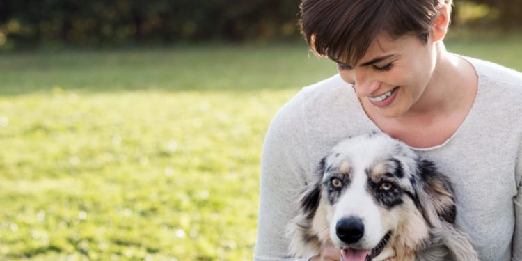 Strategies for Getting a Pet Sitter