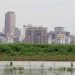 Industrial international transfer between Argentina and Paraguay in Bitcoin