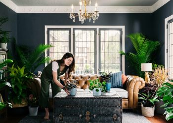 Elevate Your Home with the Perfect Plants: A Room-by-Room Guide